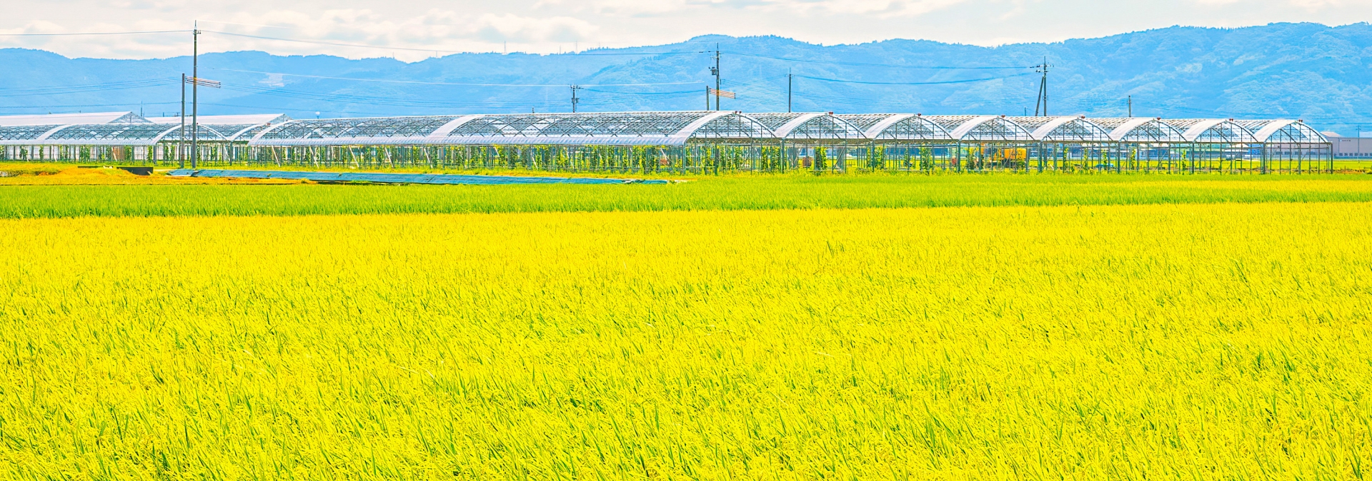 滋賀農地売買・転用相談センター